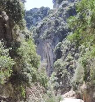 Dramatic rocky walls and winding road inside the lush Therisso Gorge (Faragi Therissou) near Chania, Crete
