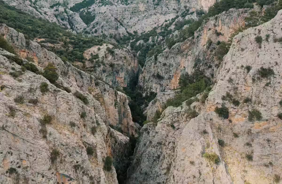 Deep, rugged cliffs and lush vegetation inside the dramatic Richtis Gorge, Sitia, East Crete, Greece