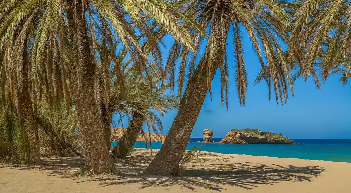 Tropical view of Vai Palm Beach, East Crete, featuring the native Cretan date palm forest, golden sand, and a distinctive rock formation in the sea